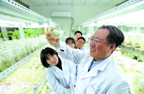 三聚焦賦能區(qū)域全面振興 農(nóng)業(yè)科研與試驗(yàn)發(fā)展的關(guān)鍵路徑