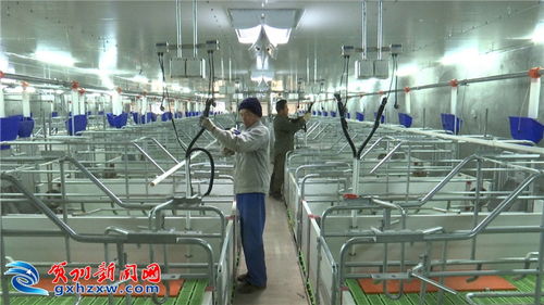 科技賦能，智慧農(nóng)業(yè)為我市農(nóng)業(yè)插上騰飛之翼