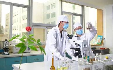 龍潤(rùn)藥業(yè)榮獲2018年度云南省科學(xué)技術(shù)進(jìn)步獎(jiǎng)三等獎(jiǎng)，彰顯農(nóng)業(yè)科研創(chuàng)新實(shí)力