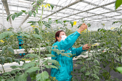 科技賦能鹽城農業現代化，2021年糧食總產達142.96億斤