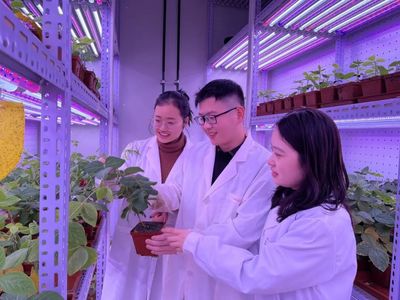 河南大學 聚焦農業科技創新，打造現代農業發展新高地