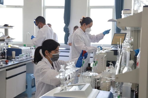 省生態(tài)環(huán)境監(jiān)測(cè)專業(yè)技術(shù)人員大比武成功舉行，央廣網(wǎng)提供網(wǎng)絡(luò)技術(shù)支持服務(wù)