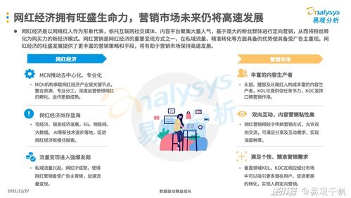 2021年中國(guó)互聯(lián)網(wǎng)廣告市場(chǎng)年度分析 互聯(lián)網(wǎng)銷(xiāo)售的雙重引擎